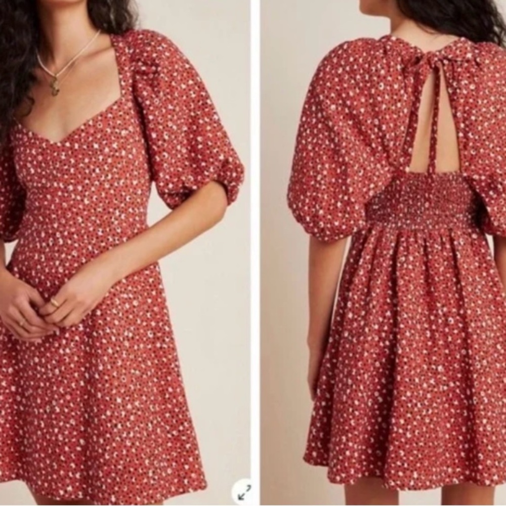 Anthropologie Rust Floral Mini Dress